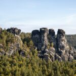 a group of rocks in the middle of a forest