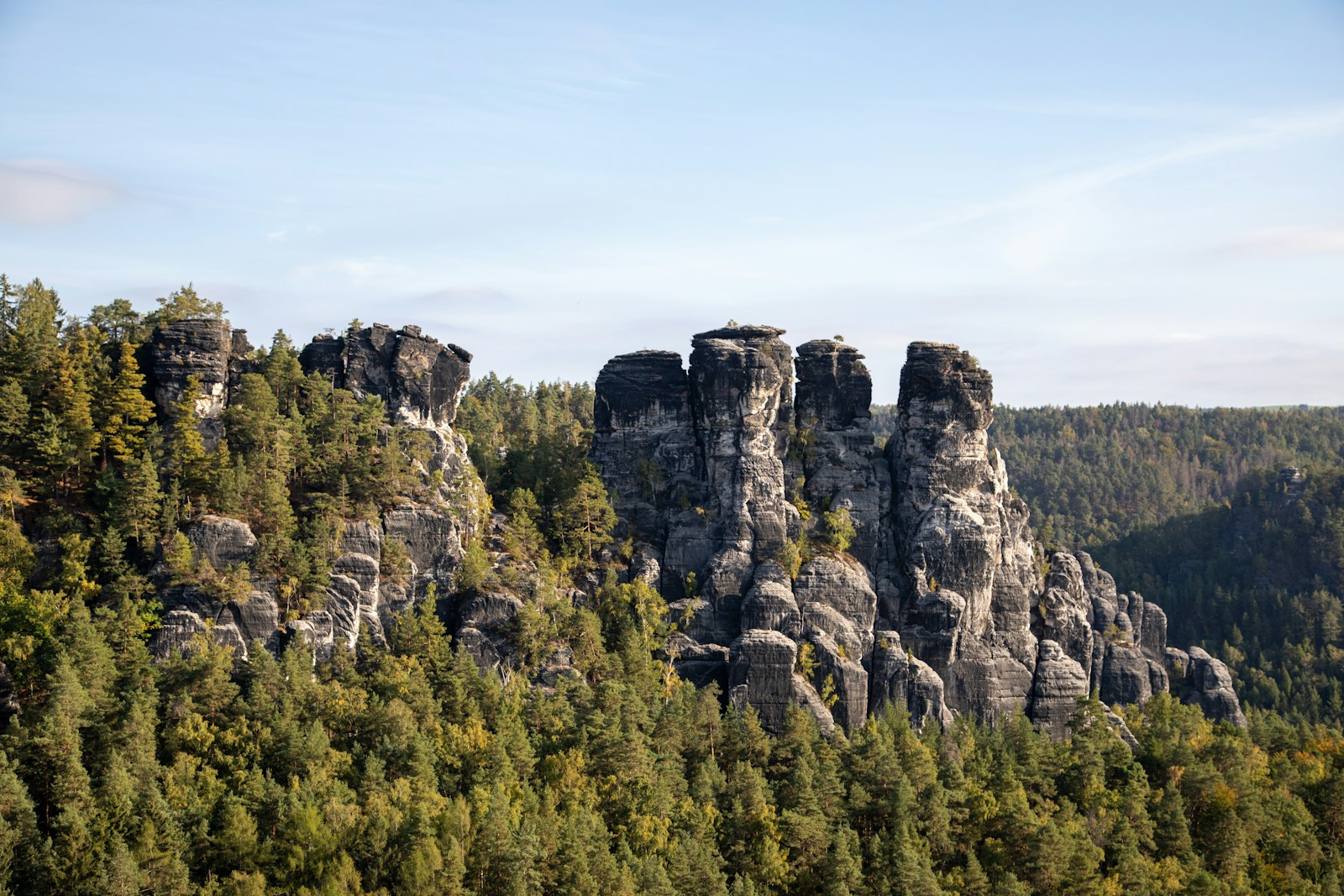 a group of rocks in the middle of a forest